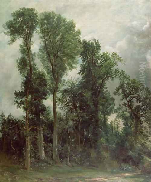 Trees at Hampstead Oil Painting by John Constable