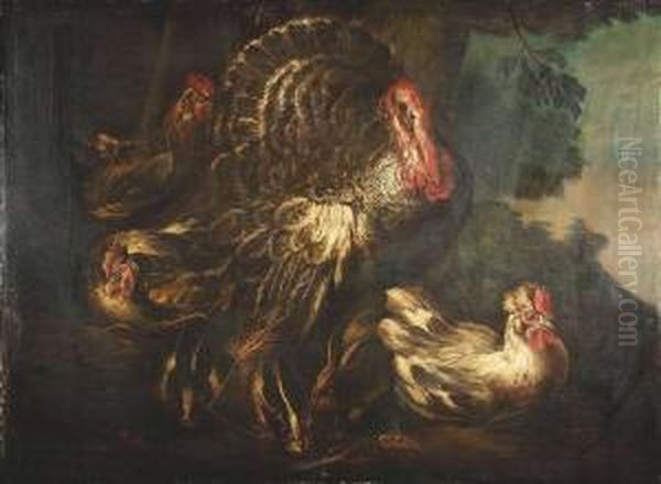 A Turkey With Hens And Rabbits Oil Painting by Il Crivellino Giovanni Crivelli