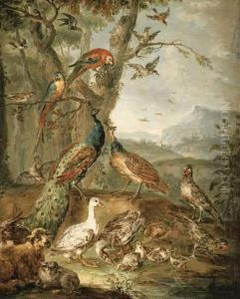 And Peahen, Parrots And Other Fowl With Goats In A Landscape Oil Painting by Angelo Maria Crivelli, Il Crivellone