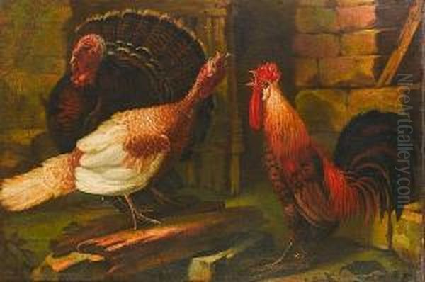 Turkeys And A Cockerel In A Farmyard Oil Painting by Angelo Maria Crivelli, Il Crivellone