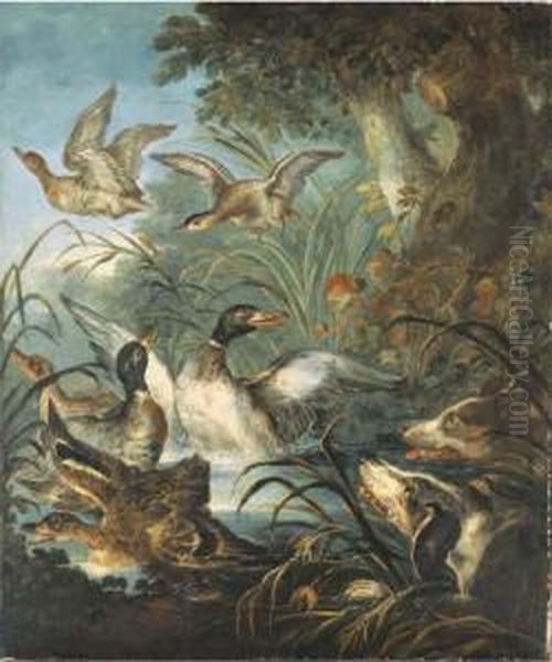 Hounds Putting Up Duck From A River Oil Painting by Angelo Maria Crivelli, Il Crivellone