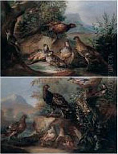 Pheasant, Red-legged Partridge And A Green Woodecker In A Landscape Oil Painting by Angelo Maria Crivelli, Il Crivellone