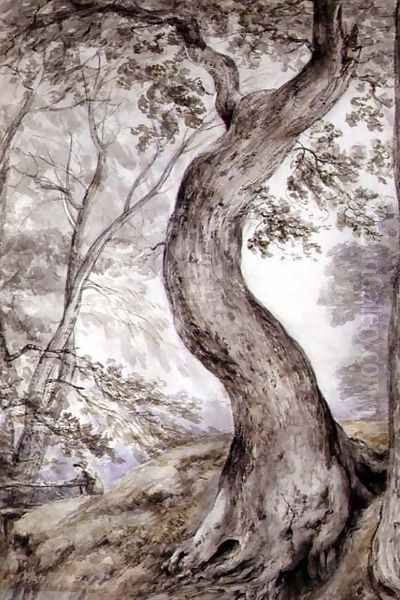 Tree at Helmingham, c.1800 Oil Painting by John Constable