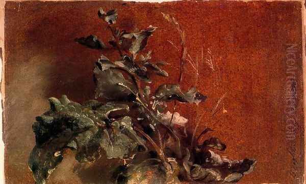 Study of plants Oil Painting by John Constable