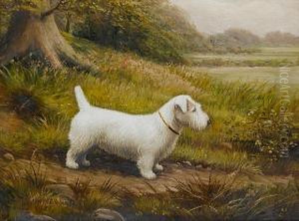 A White Sealyham In A Landscape Oil Painting by Henry Crowther