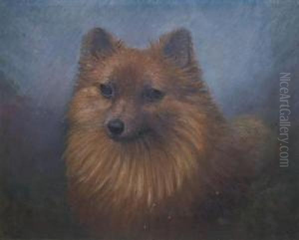 Pomeranian Oil Painting by Henry Crowther