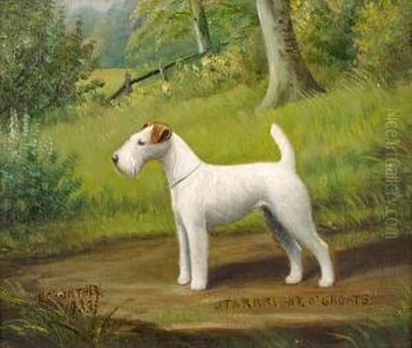 Starbright O'groats; A Wire Haired Fox Terrier Oil Painting by Henry Crowther