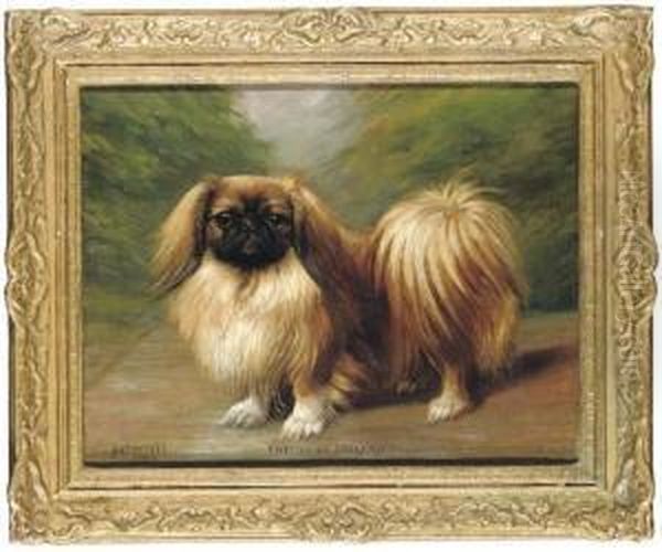 Kwe Li Of Inglenook
, A Pekingese Oil Painting by Henry Crowther