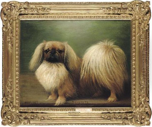 T San Ta To
 A Pekingese Oil Painting by Henry Crowther