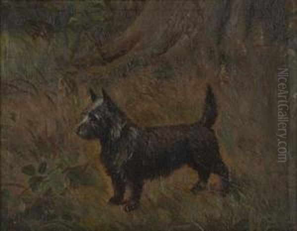 Study Of A Scots Terrier Oil Painting by Henry Crowther