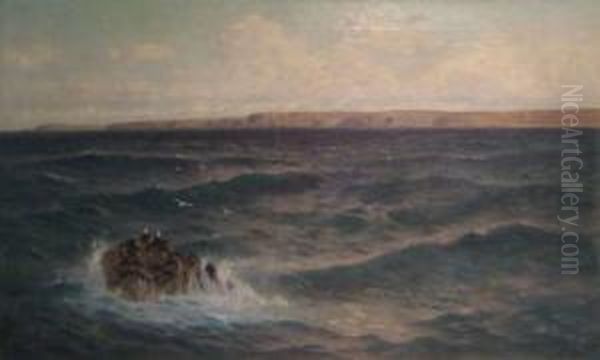 Seabirds On A Rocky Outcrop Off The Coast Near Newlyn Oil Painting by William Edwards Croxford