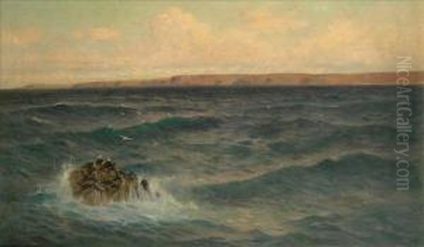 Coastal Scene With Gulls Oil Painting by William Edwards Croxford