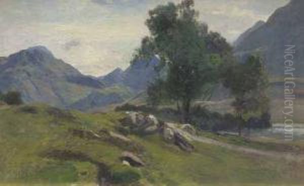 Scorcio Di Paesaggio Montano Con Alberi E Sassi Oil Painting by Ettore Cumbo