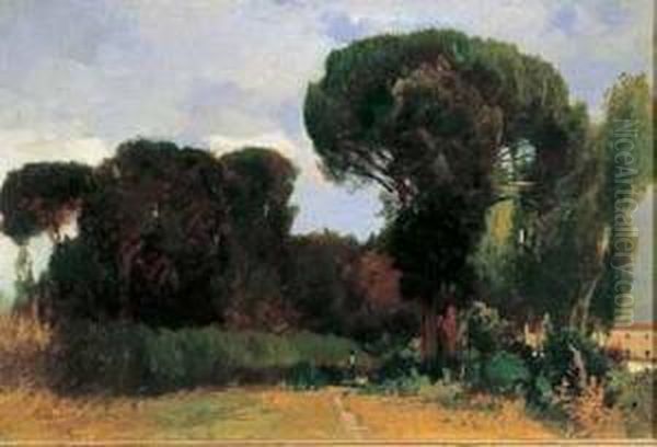 Paesaggio Con Alberi Sullo Sfondo Oil Painting by Ettore Cumbo