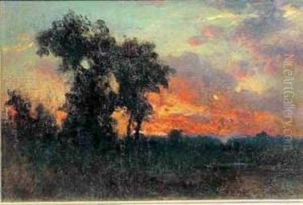 Tramonto Con Alberi Oil Painting by Ettore Cumbo