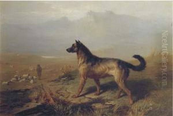 Guarding The Flock In The Highlands, Scotland Oil Painting by Conradyn Cunaeus