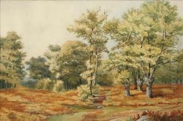 A Woodlandglade Oil Painting by James Jackson Curnock