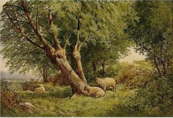 Sheep Grazing In Woodland Oil Painting by James Jackson Curnock