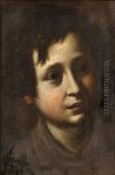 The Head Of A Young Boy In A Brown Coat Oil Painting by Francesco Curradi