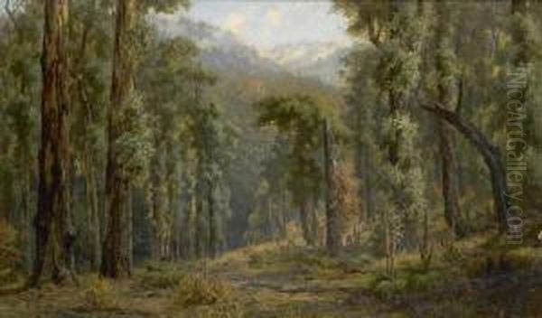 15 Months After A Bushfire, Plenty Ranges, Victoria Oil Painting by James Waltham Curtis