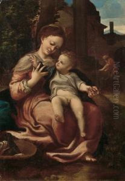 Madonna Con Il Bambino (madonna Della Cesta) Oil Painting by Girolamo da Carpi