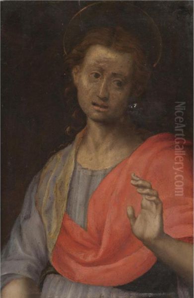 A Male Saint Oil Painting by (Jacopo Carucci) Pontormo