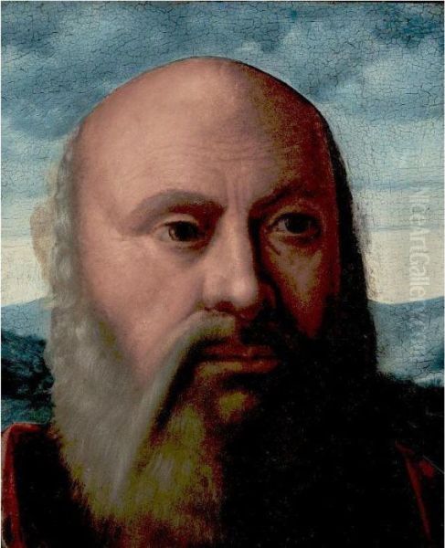 Head Of A Man, A Fragment Oil Painting by Girolamo da Santacroce