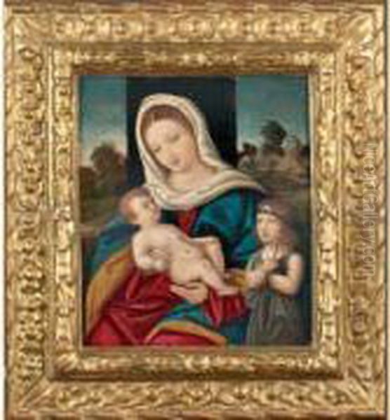 Vierge A L'enfant Oil Painting by Girolamo da Santacroce