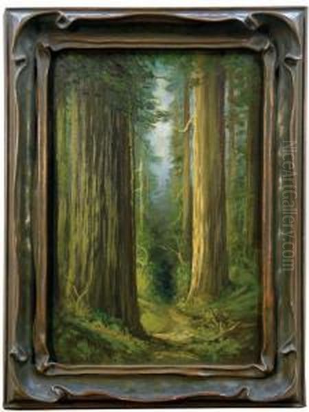 Redwood Grove Oil Painting by Tilden Dakin