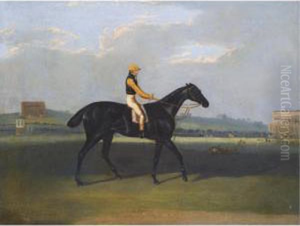 Angler, A Dark Bay Racehorse With Jockey Up Oil Painting by David of York Dalby