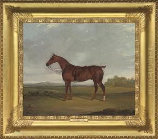 A Bay Hunter In A Landscape Oil Painting by David of York Dalby