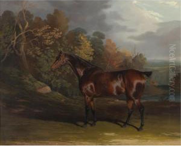 A Bay Hunter In A Sylvan Landscape Oil Painting by David of York Dalby