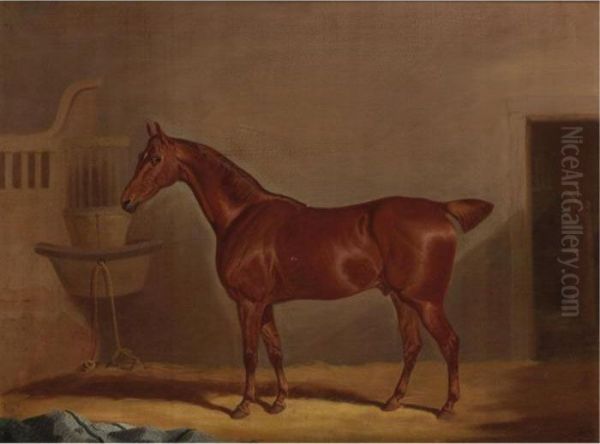 A Chestnut Horse In A Loose Box Oil Painting by David of York Dalby