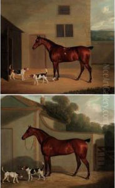 Studies Of Bay Hunters And Fox Hounds Outside Stables Oil Painting by David of York Dalby