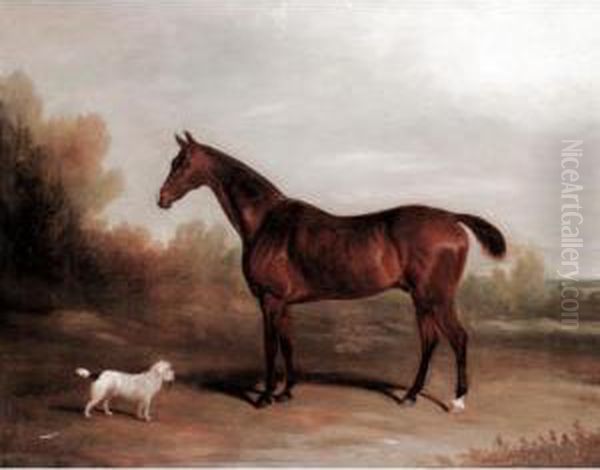 A Chestnut Hunter With A Terrier Oil Painting by David of York Dalby