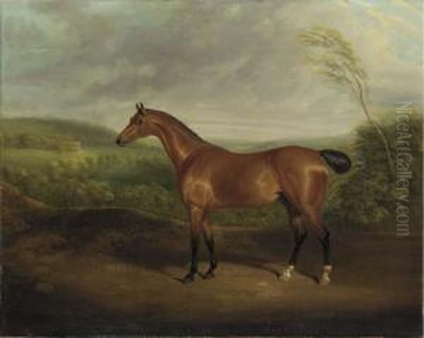 Cock Robin, A Chestnut Hunter In A Wooded Landscape With A Mansionbeyond Oil Painting by David of York Dalby