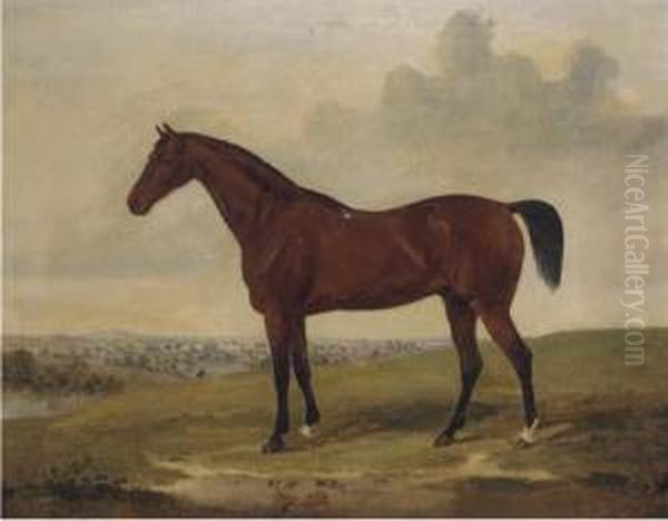 Bloomsbury, A Bay Racehorse Oil Painting by David of York Dalby