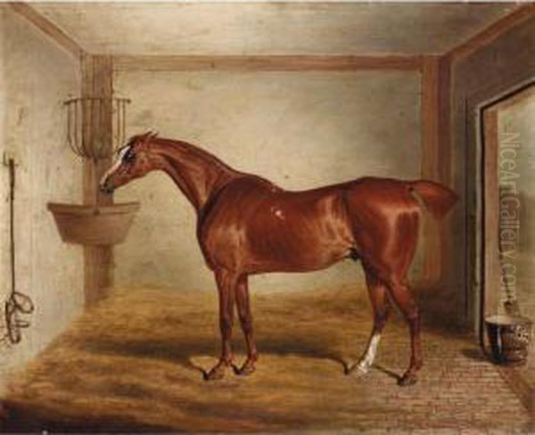 ``whittington', A Favourite Bay Hunter In A Stable Oil Painting by David of York Dalby