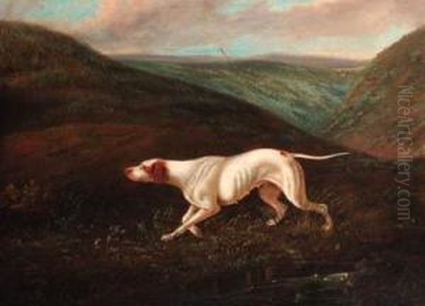 A Pointer On The Scent Oil Painting by David of York Dalby