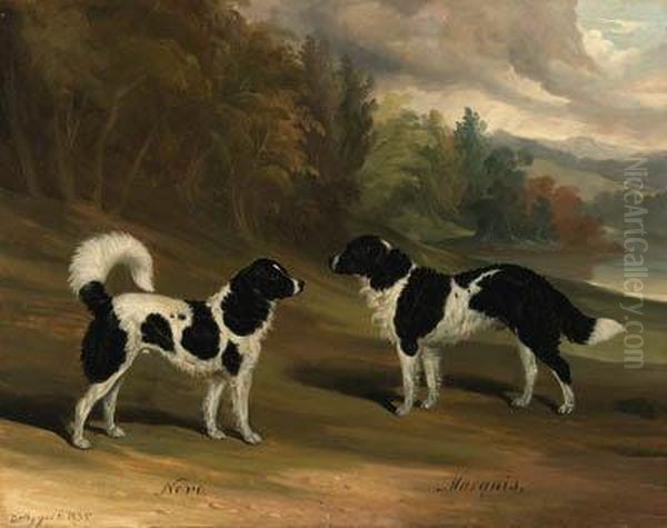 Nero And Marquis, Two Landseer Newfoundlands, In A Wooded Lakelandscape Oil Painting by David of York Dalby