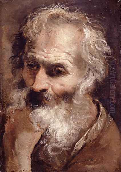 Head of an Old Man Oil Painting by Annibale Carracci