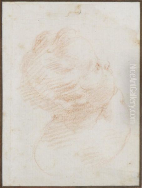 Study Of A Child's Head Oil Painting by Cesare Dandini