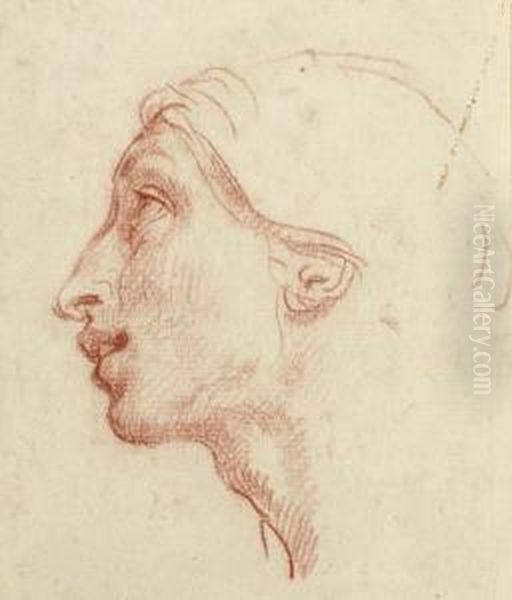 Head Of A Man In Profile To The Left Oil Painting by Cesare Dandini