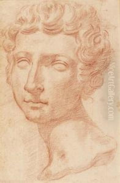 Head Of A Young Man, After The Antique Oil Painting by Pietro Dandini