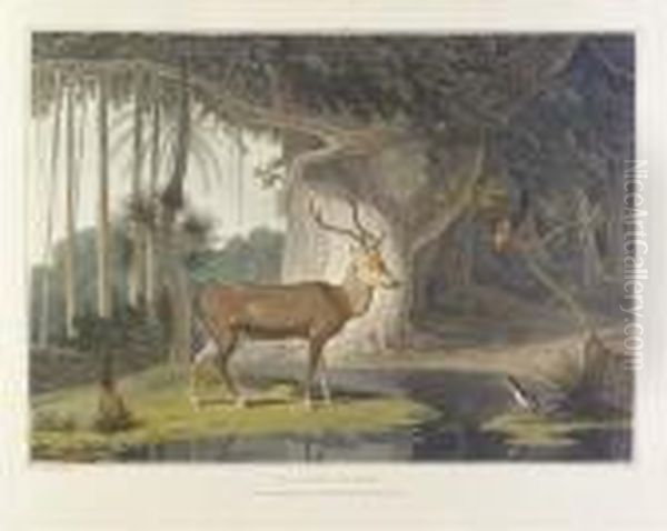 A Picturesque Illustration Of 
The Scenery, Animals, And Nativeinhabitants, Of The Island Of Ceylon. 
London: By T. Bensley,[1807]-1808 [watermarks: 'j, Whatman 1801']. Oil Painting by Samuel Daniell