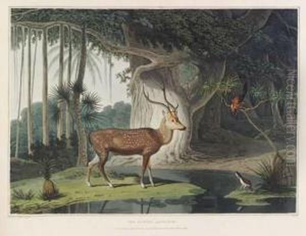 A Picturesque Illustration Of 
The Scenery, Animals, And Nativeinhabitants, Of The Island Of Ceylon. 
London: By T. Bensley,[1807]-1808 [watermarks: 'j, Whatman 1801']. Oil Painting by Samuel Daniell