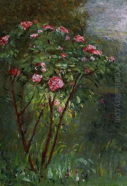 Rose Bush In Flower Oil Painting by Gustave Caillebotte