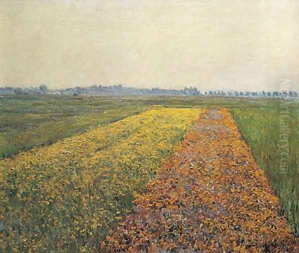 The Yellow Fields At Gennevilliers Oil Painting by Gustave Caillebotte