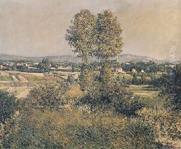 Landscape At Argenteuil Oil Painting by Gustave Caillebotte