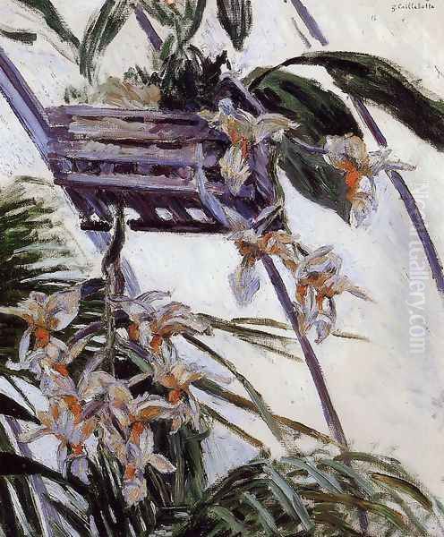 Orchids Oil Painting by Gustave Caillebotte